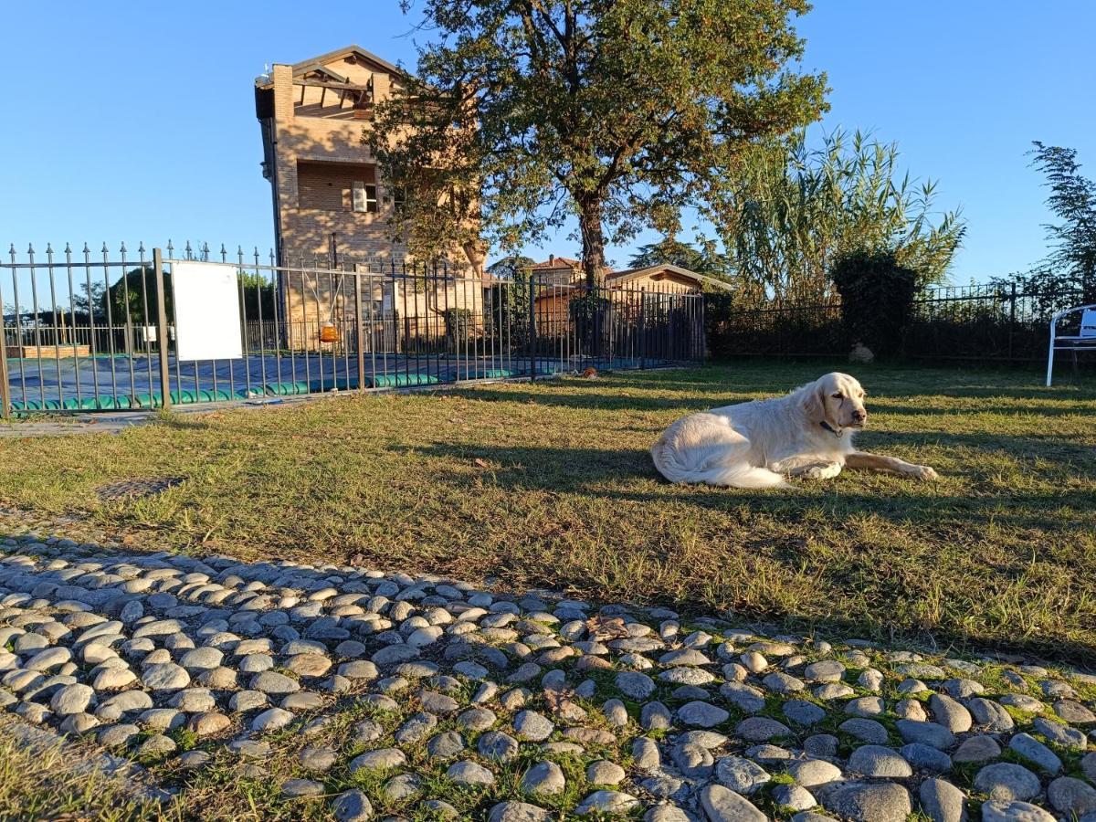 Tormalina Rosa Presso La Bordona Villa Vignale Monferrato Exterior photo